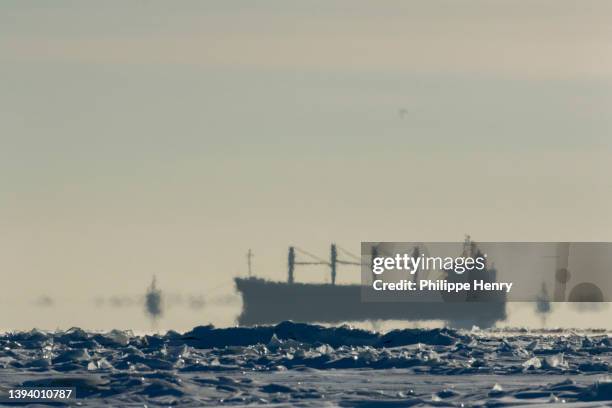 tanker on the saint lawrence river with ice on the foreground - river st lawrence stock pictures, royalty-free photos & images