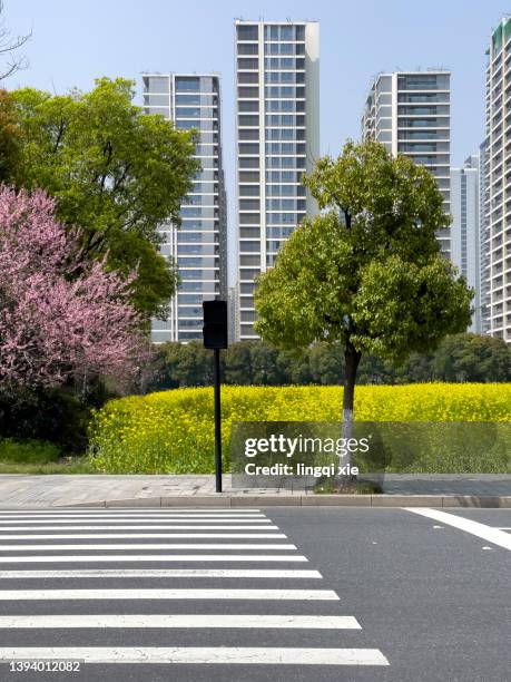 china hangzhou city intersection - pedestrian crosswalk stock pictures, royalty-free photos & images