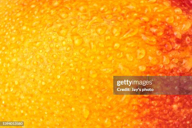 fresh mango close-up isolated with background. - mango fruit stock pictures, royalty-free photos & images