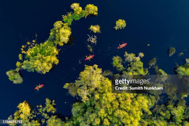 aerial top view of tourists, playing adventure lifestyle activities sport for paddling kayak or canoe on the lake in mangrove forests at rayong botanical garden national park in thailand - kayak stock-fotos und bilder