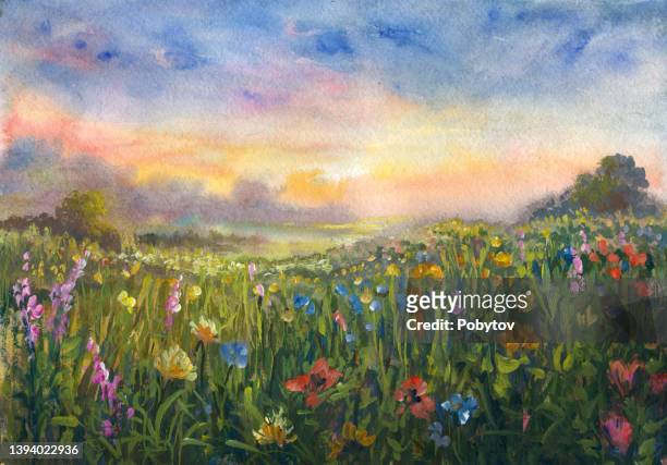 sommerwiese, aquarellmalerei impressionismus - wildflower stock-grafiken, -clipart, -cartoons und -symbole