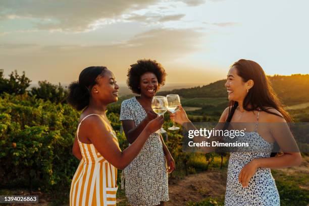 freundinnen, die einen weintoast machen - weingut stock-fotos und bilder