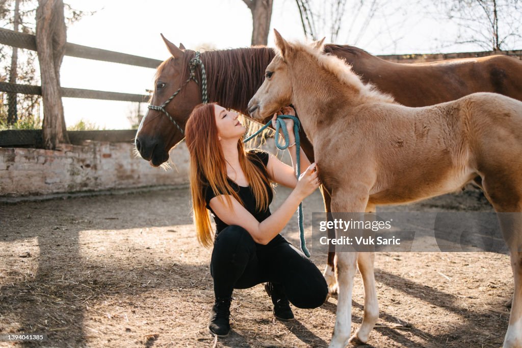 A young cowgirl petting a mare and a foal