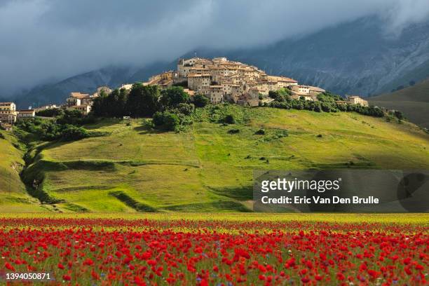 castelluccio, umbrian landscape - eric van den brulle stock pictures, royalty-free photos & images