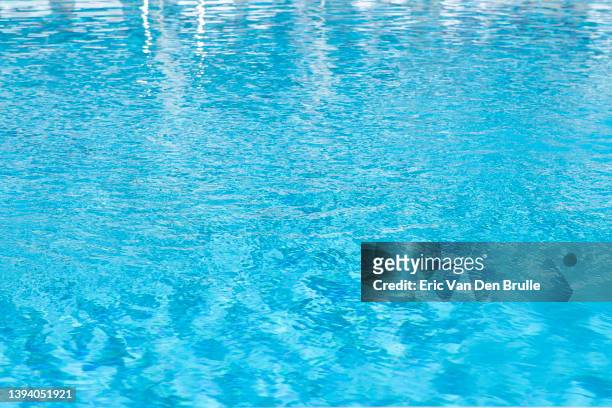 pool water - eric van den brulle stock pictures, royalty-free photos & images