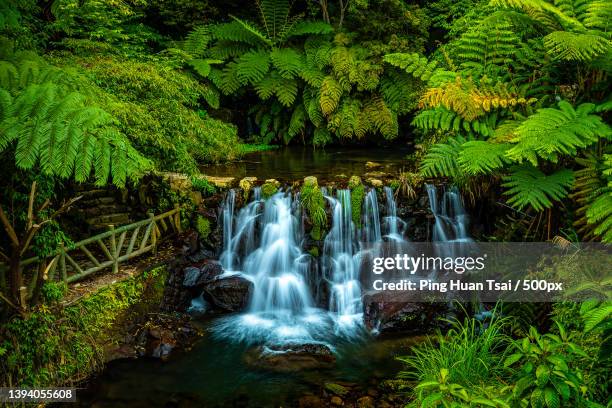 Ditor Tree Datun Mt Datun Photos and Premium High Res Pictures - Getty Images