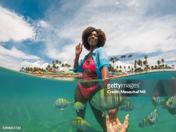 touristen am strand, die spaß mit den fischen haben - girl traveler stock-fotos und bilder