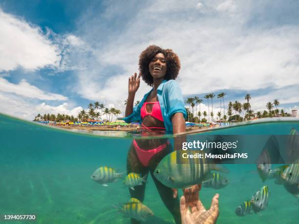 turistas na praia se divertindo com os peixes - coco girl - fotografias e filmes do acervo