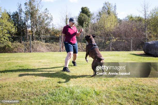 happy dog and woman spending quality time outdoors playing and having fun - dog agility stock pictures, royalty-free photos & images