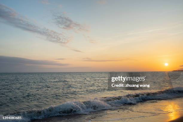 beach under sunshine - party under stock pictures, royalty-free photos & images