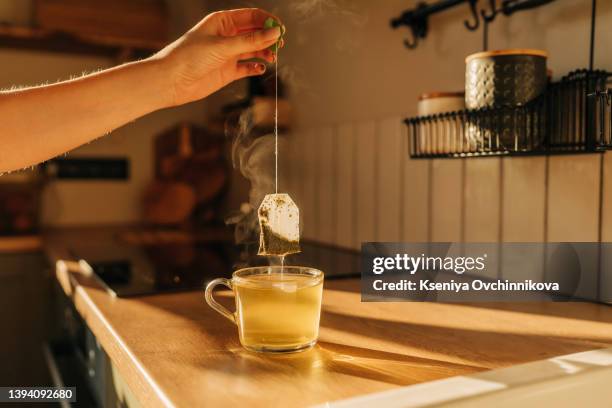 a woman holds a mug of delicious freshly brewed tea in her hand. the concept of autumn time - steeping stock pictures, royalty-free photos & images