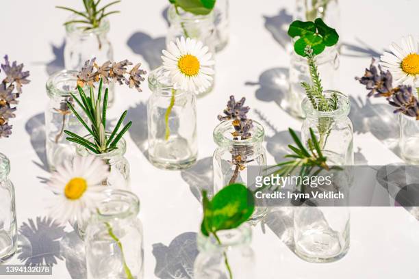 organic, bio cosmetics healthy concept with bottles with natural plants. natural ingredients for cosmetic products for the care of skin and hair. - herb ストックフォトと画像