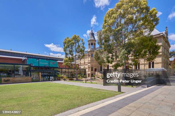 the south australian museum in the city of adelaide, south australia, australia - shopping mall adelaide fotografías e imágenes de stock