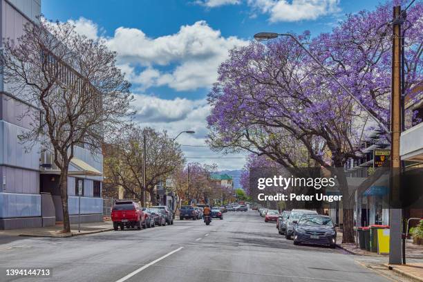 jacaranda tree lined retail street in the city centre of adelaide, south australia, australia - shopping mall adelaide fotografías e imágenes de stock