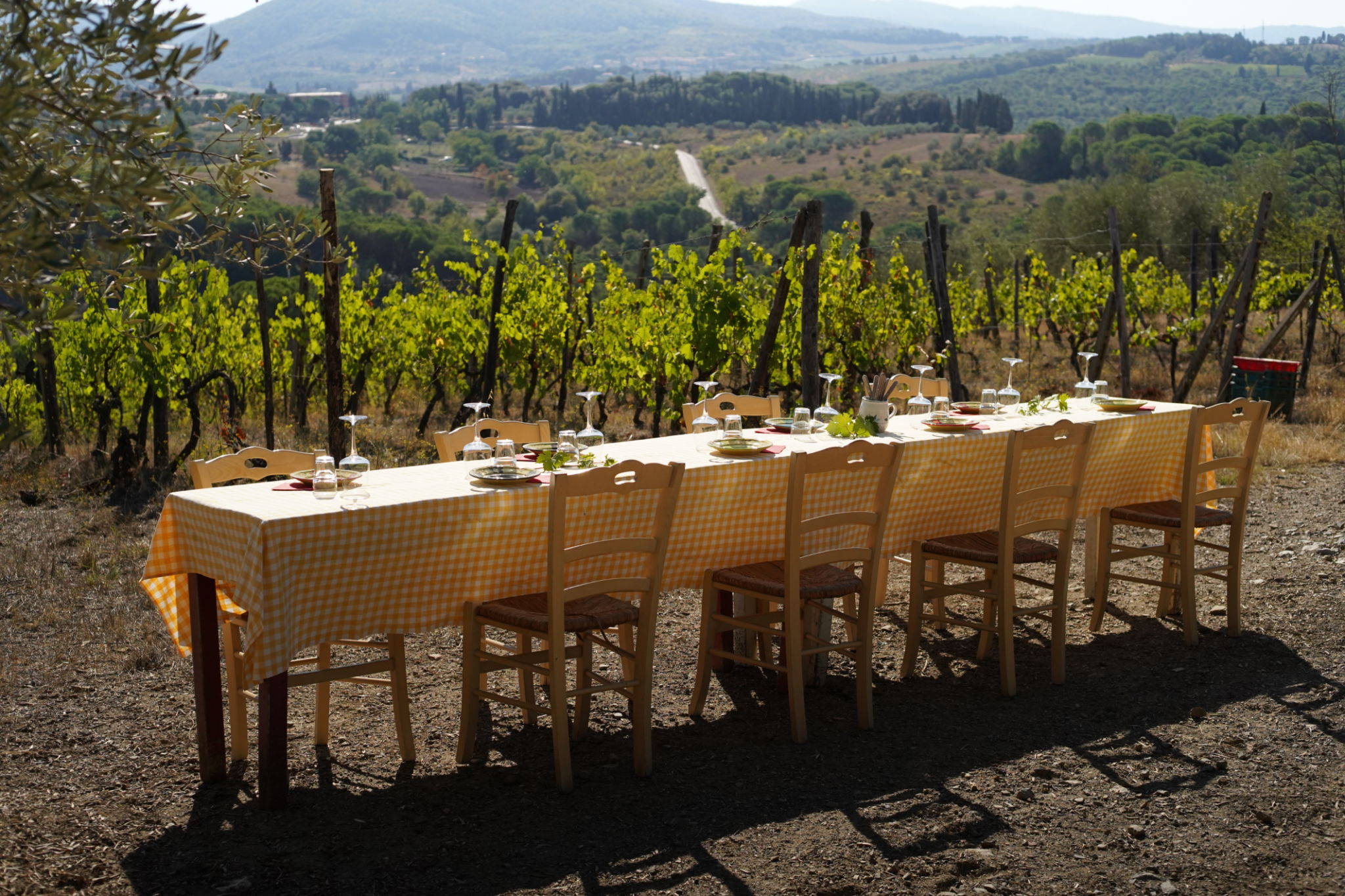 tuscany winery tour