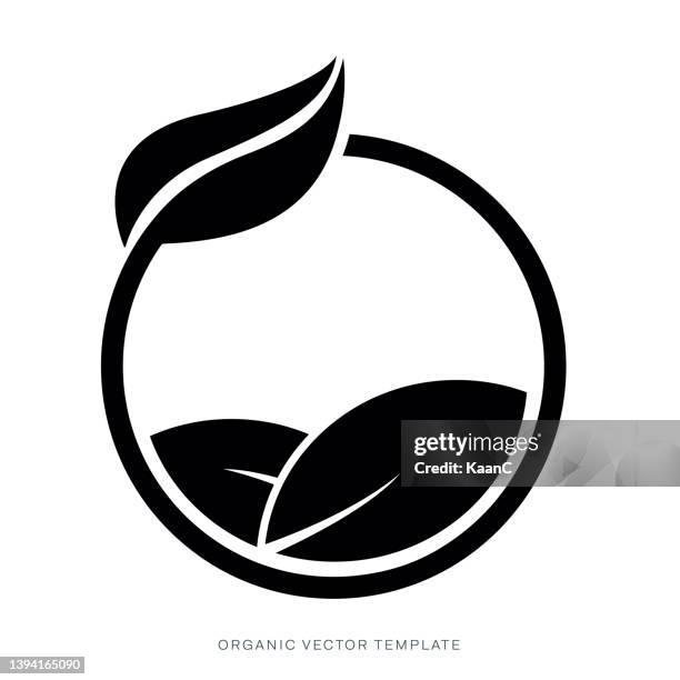organic food labels. natural meal fresh products logo. ecology farm bio food vector premium badges stock illustration - vegan food stock illustrations