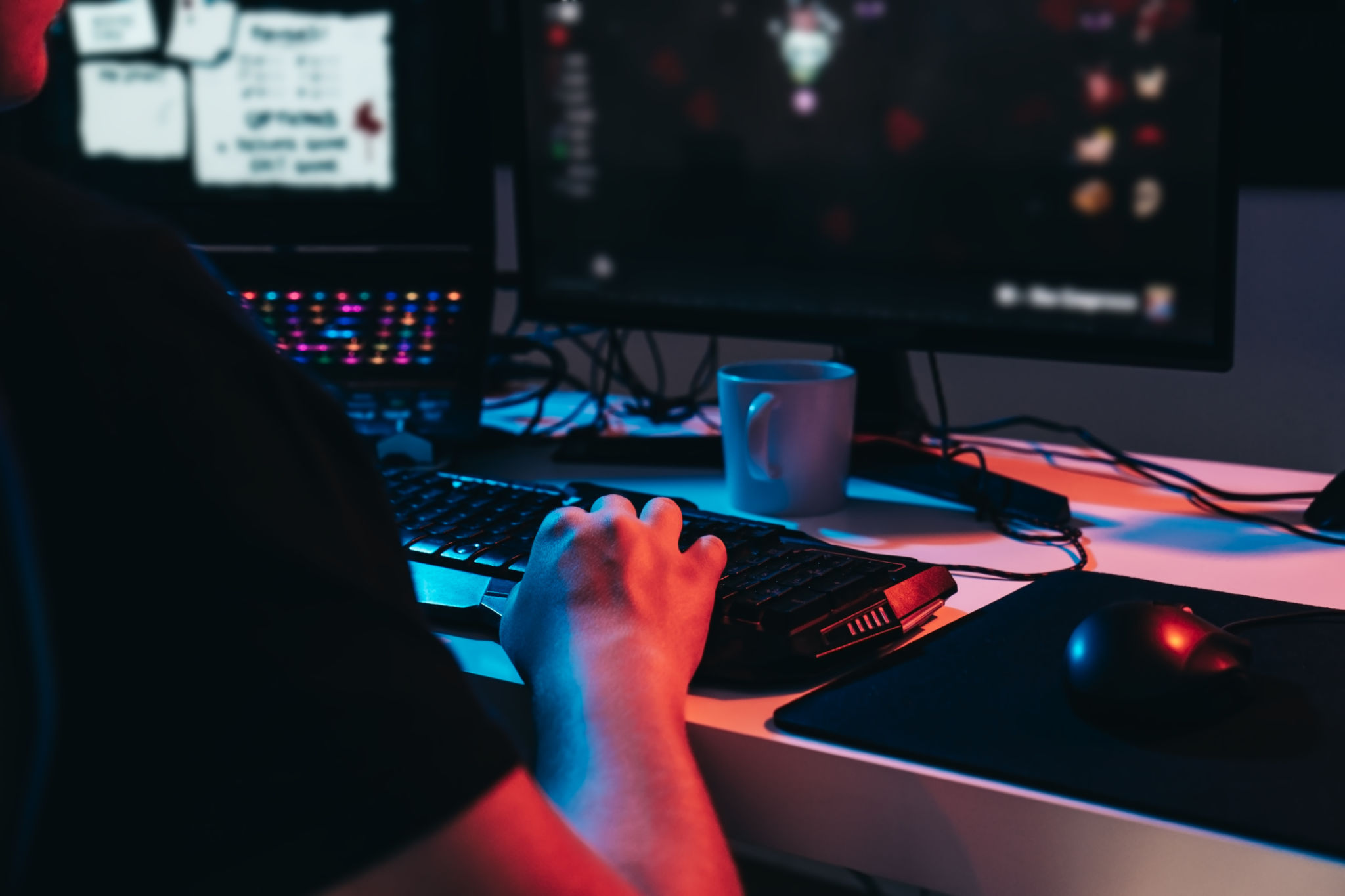 game developer