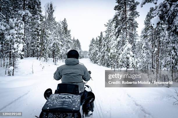 hiker driving a snowmobile in the frozen forest, lapland - sweden lapland stock pictures, royalty-free photos & images