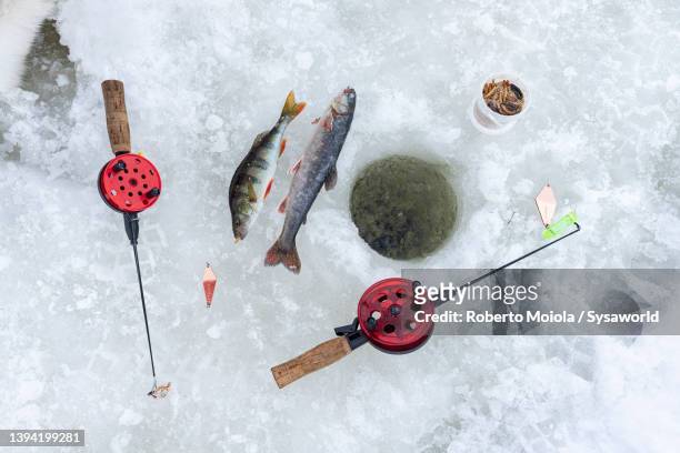fishing rod with catch of fish next to ice hole, lapland - linha de pesca - fotografias e filmes do acervo