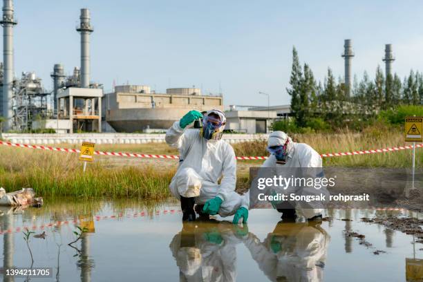 biologists take water from a chemically contaminated river, study its composition in a laboratory. - blood stream stock pictures, royalty-free photos & images