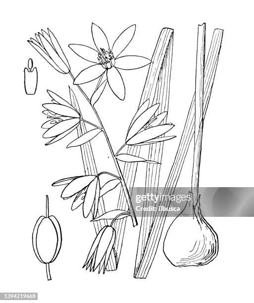 Saging Drawing Example 58 Sagging Drawing Stock Photos, High-Res Pictures, and Images - Getty ...