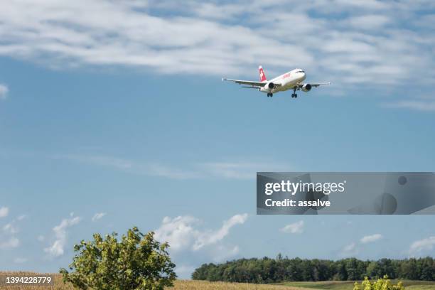 an airbus a340 of edelweiss air is landing at zurich airport - edelweiss flower stock pictures, royalty-free photos & images