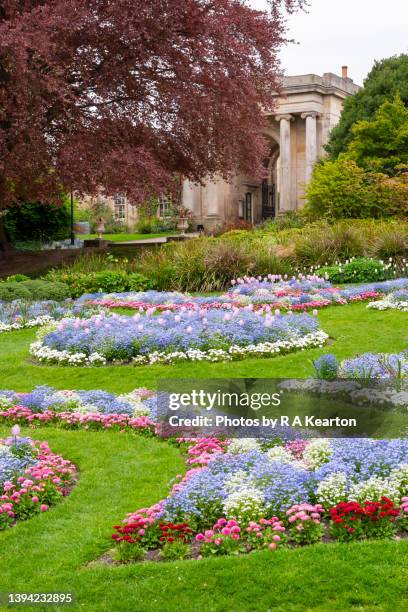 spring bedding display at sheffield botanical gardens, yorkshire, england - sheffield uk stock pictures, royalty-free photos & images