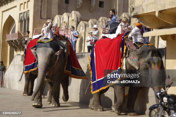 elephant safaris at amer fort, jaipur - amer fort stock pictures, royalty-free photos & images