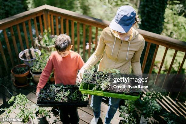 a mother teaching her son about gardening - germinating stock pictures, royalty-free photos & images