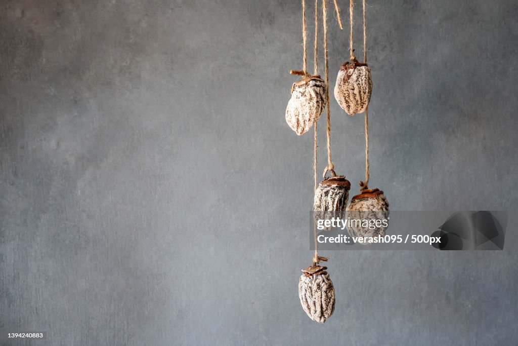 Dried persimmon hanging on the ropes Gray background