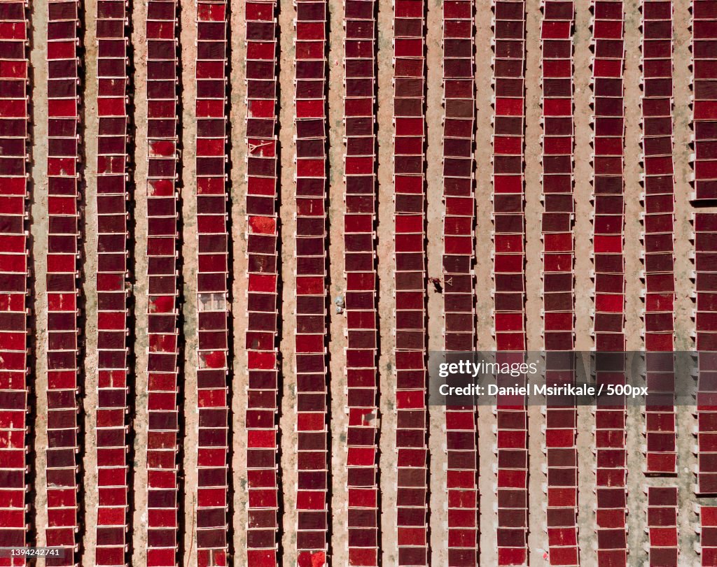 Young man spreading coffee cherries,Full frame shot of patterned wall,Mbeya,Tanzania