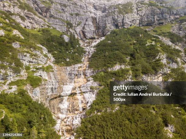 mountain landscape,high angle view of trees growing on rock,via caltene,cesiomaggiore,belluno,italy - iulian andrei stock-fotos und bilder