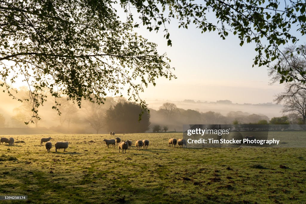 Peak District misty sunrise