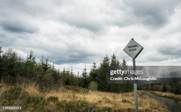 galloway forest park, scotland - galloway scotland stock-fotos und bilder