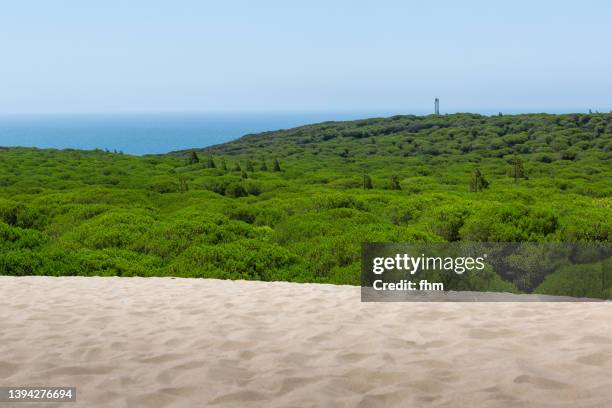 the dune of bolonia (cadiz province/ andalusia/ spain) - cadiz province foto e immagini stock