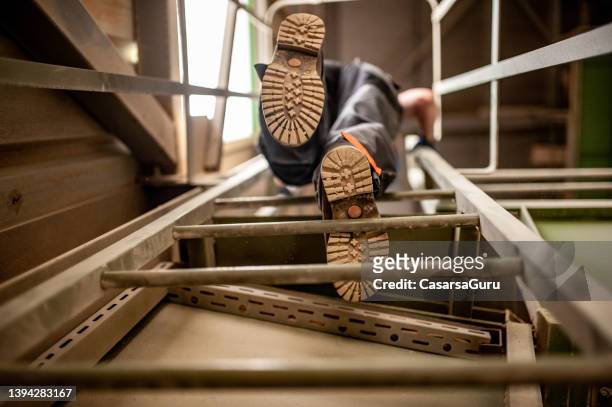 low angle view of a worker climbing a ladder inside an ore processing factory - soles pose stockfoto's en -beelden