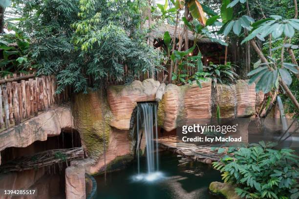 waterfall and lush vegetation in a tropical greenhouse under a steel dome - cascade france stock pictures, royalty-free photos & images