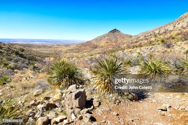 franklin mountains state park,  el paso, texas - franklin texas stockfoto's en -beelden