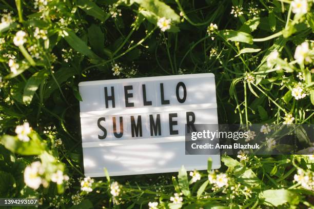 lightbox with text hello summer against vibrant green grass in meadow in sunny day. - hello summer stock-fotos und bilder