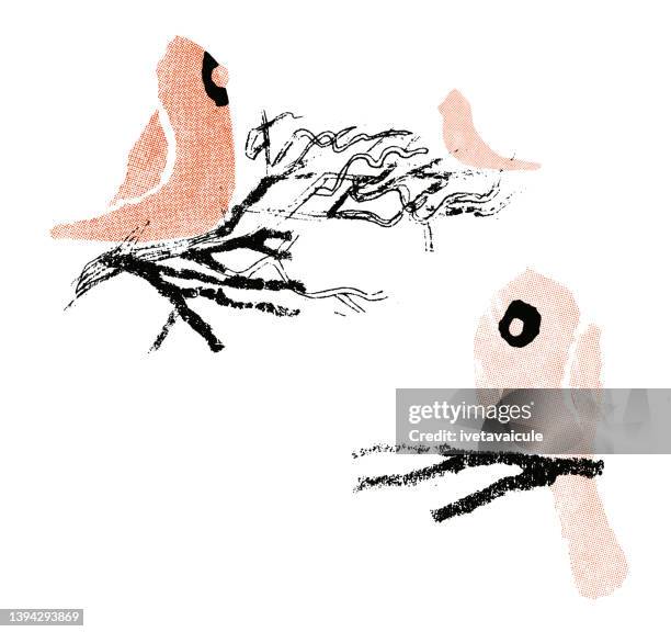 cardinals - cardinal bird stock illustrations