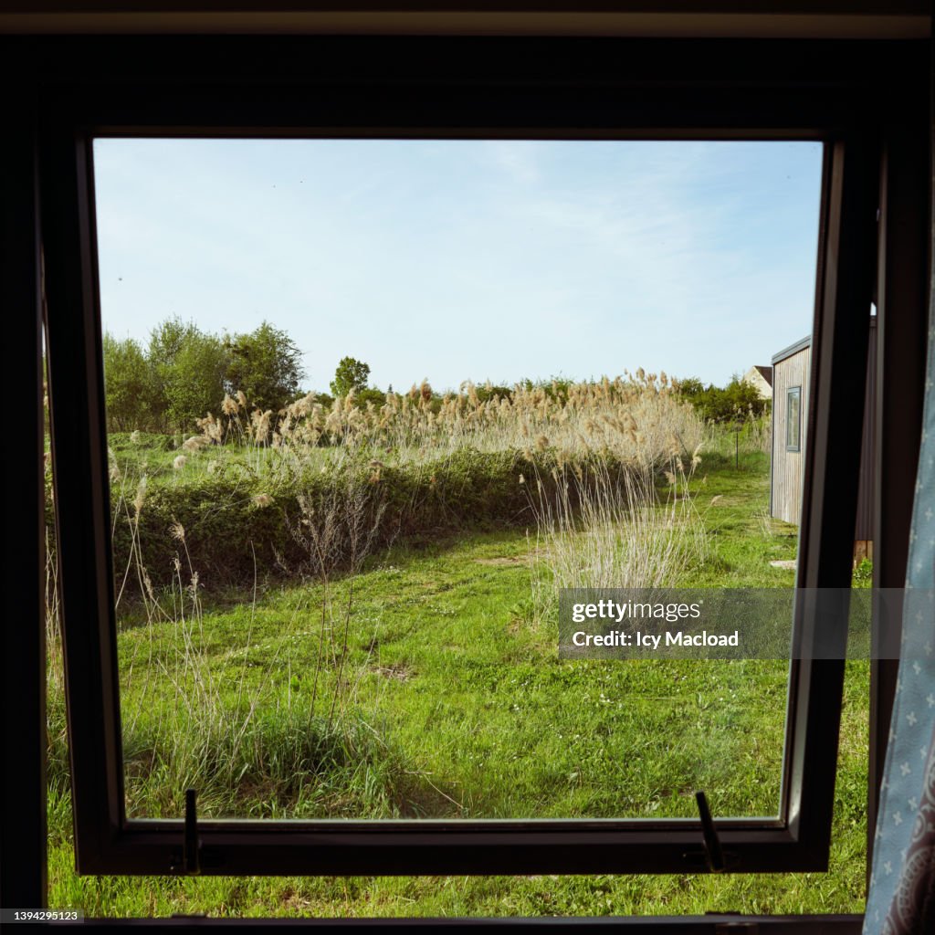 A meadow in the countryside through a window