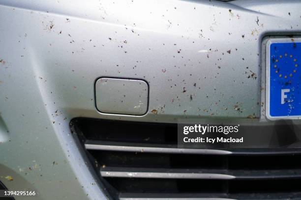 many insects crushed on the front bumper of a car - housefly stock pictures, royalty-free photos & images