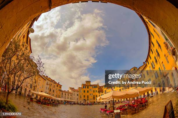 piazza anfiteatro, lucca, tuscany, italy - lucca stock-fotos und bilder