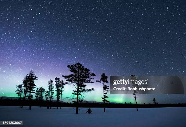 northern lights as seen from the yukon territory, canada - noorderlicht sterren stockfoto's en -beelden