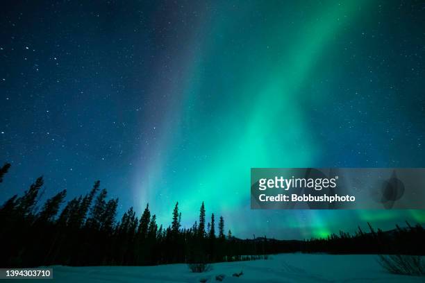 northern lights as seen from the yukon territory, canada - noorderlicht sterren stockfoto's en -beelden