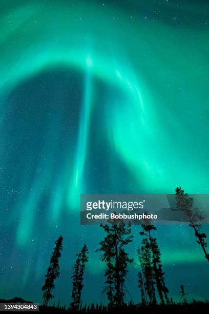 northern lights as seen from the yukon territory, canada - noorderlicht stockfoto's en -beelden