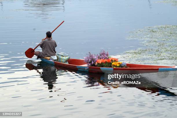 mercado flotante, lago dal, srinagar. - shikara fotografías e imágenes de stock