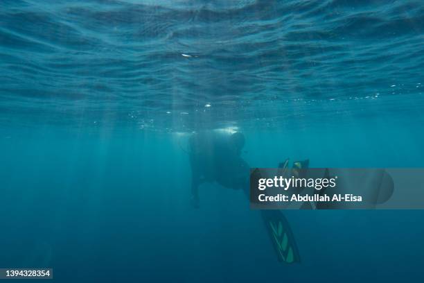 diving below the surfer - saudi arabia beach stock pictures, royalty-free photos & images