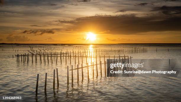 lagoons at sunset - sunrise@dawn photography stockfoto's en -beelden