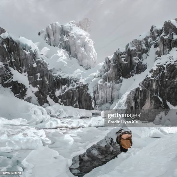 snowcapped mountains - clima polar fotografías e imágenes de stock